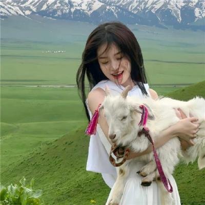 女人的面孔